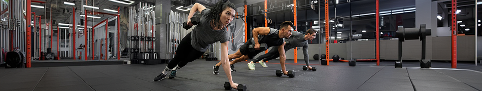 BodyMetrix