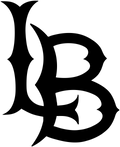 BodyMetrix