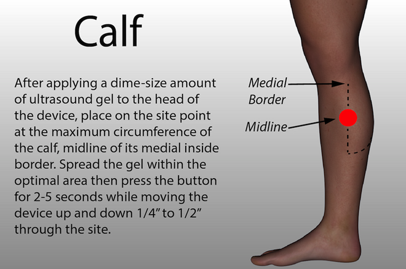 Calf