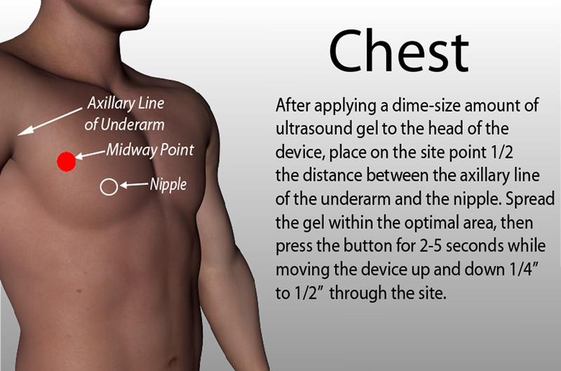 Chest