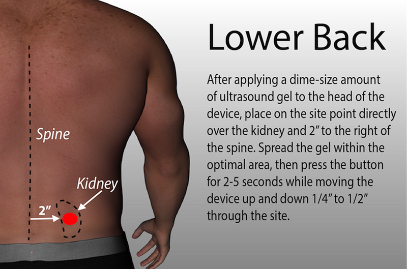 Lower Back