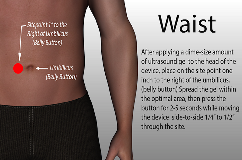 Waist