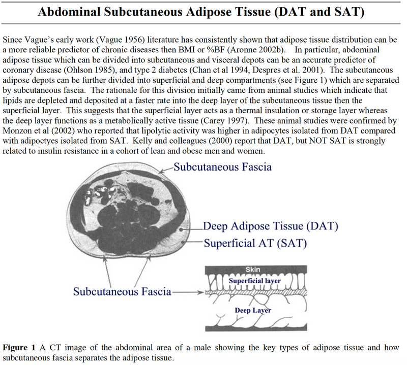 Abdominal Subcuatenous